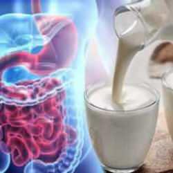 Kefirin sindirim sistemine faydaları nelerdir?