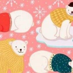 Kutup ayıları arasında gizlenen balığı 8 saniyede tespit et!