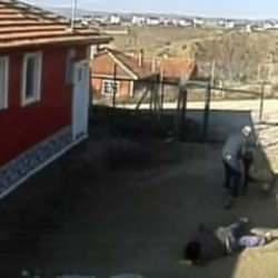 Rottweiler cinsi k&ouml;peğin dehşet veren saldırısı kamerada: 3 yaralı