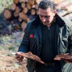 Antalya ormanlarında milimetrelik b&ouml;cek kabusu: 5 bin ağacı kuruttular!