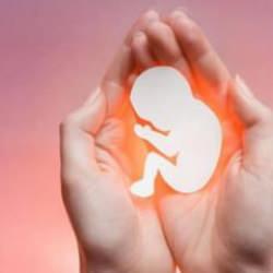 Boş gebelik nedir? Neden düşüğe yol açar ve ne yapılmalı?