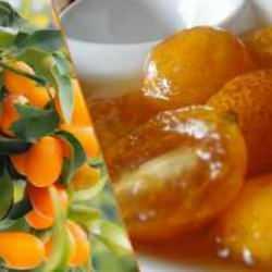 C vitamini deposu "altın mandalina" ile tatlı lezzet: Kamkat reçeli tarifi