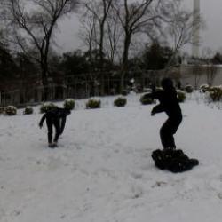 Erimeden yetişin! Kar topu oynamak i&ccedil;in buraya koştular