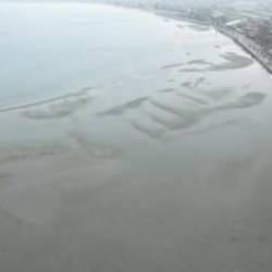 İstanbul ve İzmir'de &uuml;rk&uuml;ten g&ouml;r&uuml;nt&uuml;! Depremin habercisi mi? Uzmanlardan a&ccedil;ıklama!