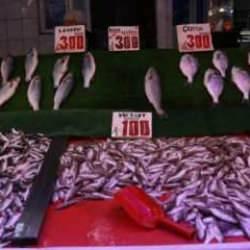 Kilosu 100 liradan satılıyor, hamsiyi geride bıraktı!