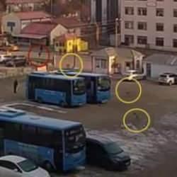 Muş'ta köpek dehşeti: Sürüden kaçan çocuk yere kapaklandı! 