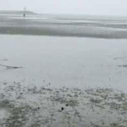 Silivri'de deniz metrelerce &ccedil;ekildi: '25 yıldır ilk kez g&ouml;r&uuml;yorum' 