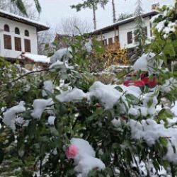 Her mevsim ayrı g&uuml;zel: Kışın g&ouml;rmediyseniz ka&ccedil;ırmayın!