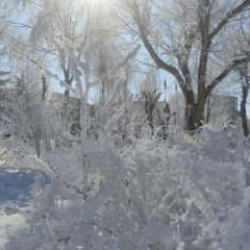 İşte Türkiye'nin en soğuk yeri: Sıfırın altında 28,4 derece!