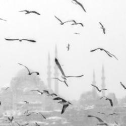 Kubbelerin üstünde İstanbul’un büyüleyici görüntüleri...