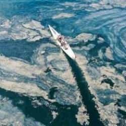 Kabus Marmara Denizi'ne yaklaşıyor! Büyük sorunu tek maddede tökezletti