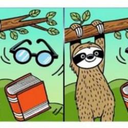 Tembel hayvana ait görseldeki 3 farkı bulabilir misin?