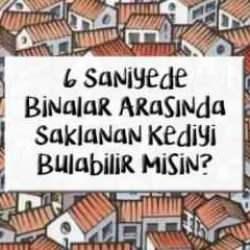 6 saniyede binaların arasında saklanan kediyi bulabilir misiniz?