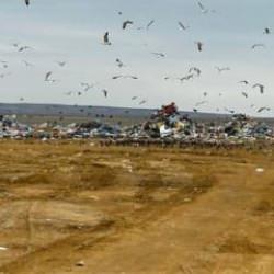 Bakanlık Ankara Büyükşehir Belediyesi'ne cezayı kesti!