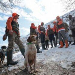Darende'de yaban domuzlarına karşı s&uuml;rek avı