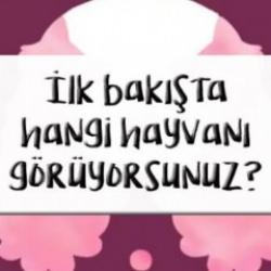 Görsel algı testi: İlk gördüğünüz hayvan kişiliğinizi ele veriyor!