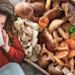 Mantarın gribe iyi geldiği kanıtlandı: Gribe karşı etkili savunma!