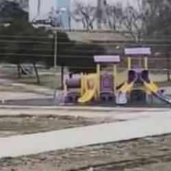 Sokak k&ouml;pekleri okula giden &ccedil;ocuğa saldırdı