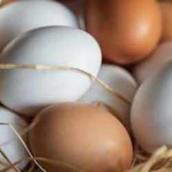 50 centlik fon kesintisi sonrası yumurtacılardan ilk açıklama