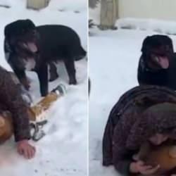 Köpek dehşeti! Anne ve çocuğuna saldıran vahşi köpek herkesi korkuttu