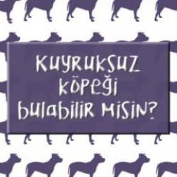 Kuyruksuz köpeği bul: Zeka ve gözlem yeteneğinizi sınayın!