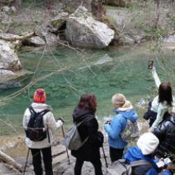 Soyguncular ortaya &ccedil;ıkardı! Karya&rsquo;nın başkenti Milas&rsquo;ta tarihe yolculuk