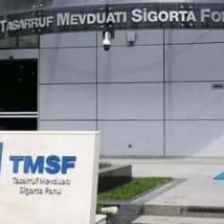 TMSF iki enerji şirketindeki paylarını satışa çıkardı
