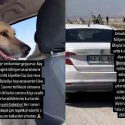 2 yaşındaki bebeğin &ouml;ld&uuml;r&uuml;lmesi sonrası başıboş k&ouml;pekleri ka&ccedil;ırdılar
