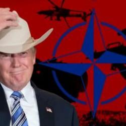 ABD'den NATO kararı! İddia Avrupa'yı panikletti: Alternatif bulmak zorundayız