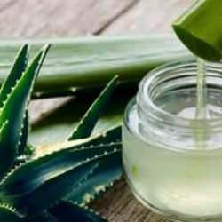 Aloe vera ile sivilcelere veda edin