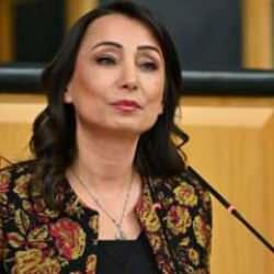 DEM Parti: Erdoğan'dan randevu isteyeceğiz!