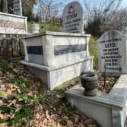 Evcil hayvanlar için 2 bin 500 liraya özel mezar yeri!