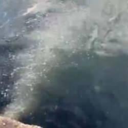 İSKİ'den atık su skandalı! İstanbul resmen can &ccedil;ekişiyor