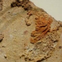 Paha biçilemeyen 3 bin 500 yıllık Hitit keten kumaşı ilk kez görücüye çıktı