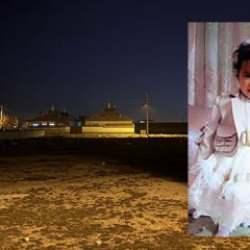 2 yaşındaki Rana köpeklerin saldırısında ölmüştü: DMM'den o iddialara yalanlama!