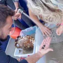 Bu keşif çok konuşulacak! Gazze batığında 1100 yıllık zeytin çekirdekleri bulundu