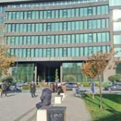 CHP'li belediyede cadı avı! 