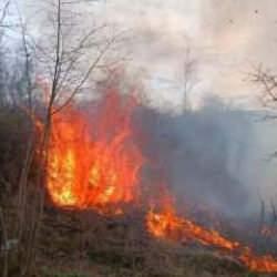  Havalar ısındı, yangınlar başladı