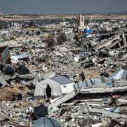 Korkun&ccedil; ger&ccedil;ek: İnsanlar a&ccedil;lık &ccedil;ekerken Gazze'de k&ouml;pekler neden kilo almaya devam ediyor?