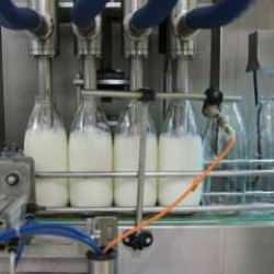 Toplanan inek sütü miktarı ocakta 941 bin 377 ton oldu