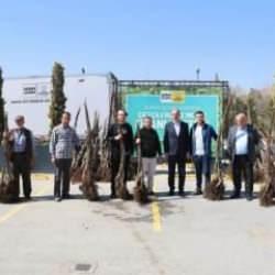 Konya B&uuml;y&uuml;kşehir Belediyesi, 72 bin meyve fidanı dağıtıyor