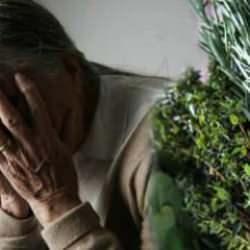 Biberiye ve adaçayındaki gizli bileşik Alzheimer tedavisinde umut vaat ediyor!