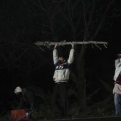 'Gezi'de sömürdükleri ağaçlarla polise saldırdılar