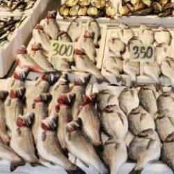 Trabzon'da hamsi azalınca vatandaşlar somona yöneldi