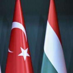 Türkiye'den Macaristan ile doğal gaz ve petrol görüşmesi
