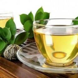 1 bardağı bile kanser, bunama ve felçten kurtarıyor: Yeşil çay tam bir cevher!