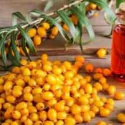 Alıç sirkesini içmenin faydaları: Tam bir savaşçı! Zırh gibi koruyup meydan okuyor