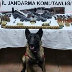 Arı kovanlarından kaçak silah çıktı: 2 gözaltı