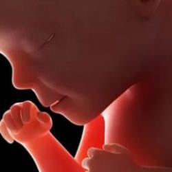 SMA hastalığı anne karnında tedavi edildi! SMA’da umut verici yeni gelişme