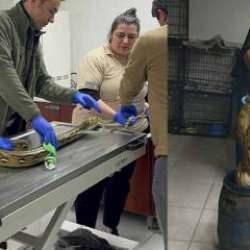 Yolcu otob&uuml;s&uuml;ndeki kutudan &ccedil;ıktı! G&ouml;ren şoke oldu